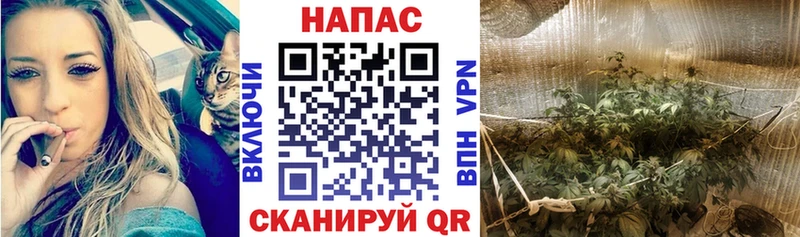 Бошки марихуана конопля  наркошоп  Грайворон 